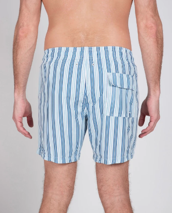 Slate & Stone Novelty Swim Shorts in Blue Stripe — CARY LANE
